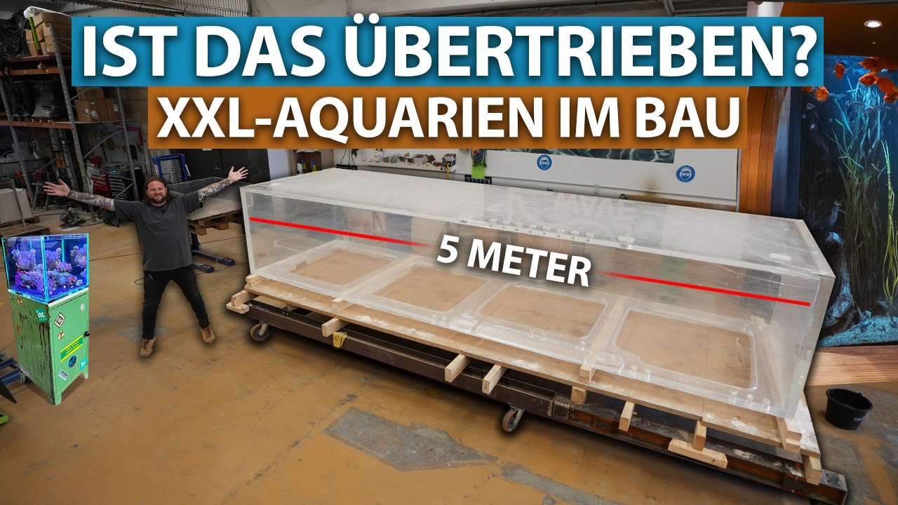 Diese XXL-Aquarien wurden bestellt! -  Deutsche Tour durch NEW WAVE