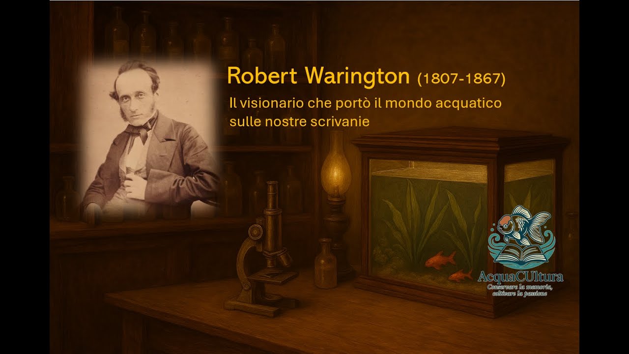 Robert Warington: Il visionario che portò il mondo acquatico sulle nostre scrivanie (Paolo Bernardi)
