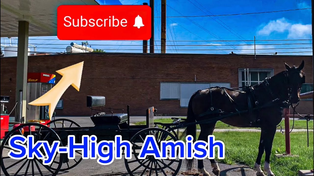 Sky-High Amish: Secrets Over Belleville, PA