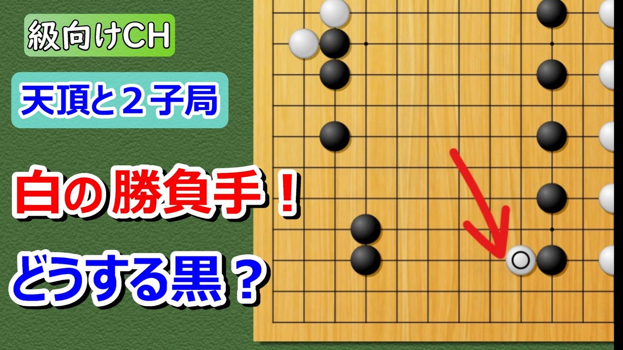 【囲碁】級向け・2子局　ぼ~と見てるだけで碁がわかる