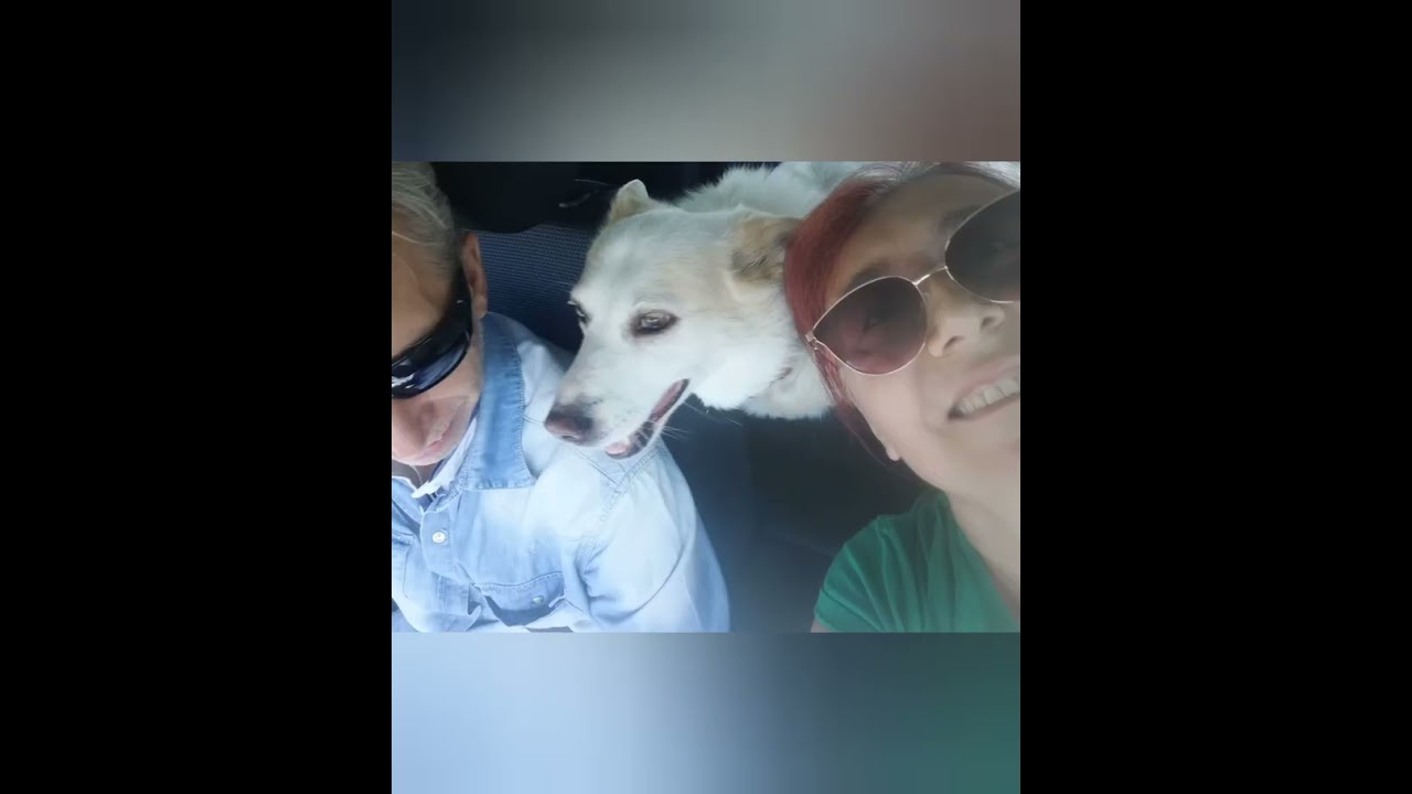 A Bowie ❤️❤️❤️
