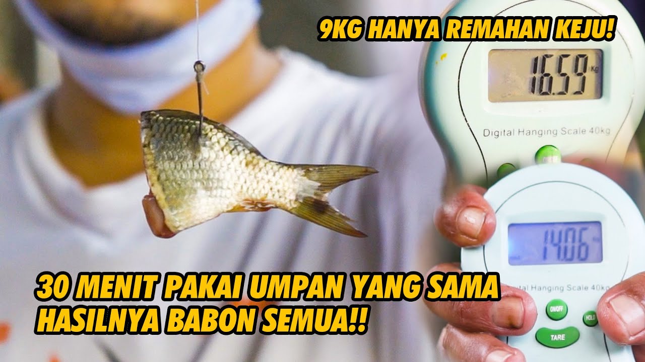MANCING DI LAPAK POJOK IKANNYA PADA NGEBLOK PALING KECIL DAPETNYA 9 KG, APA LU KAGA SALAH BRO???🤯