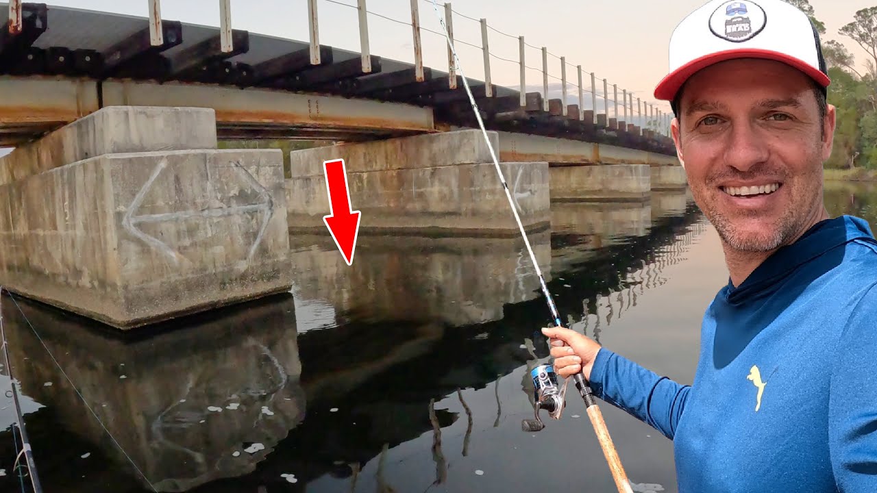 Fishing Under an Old Train Trestle! *Multi Species Day*