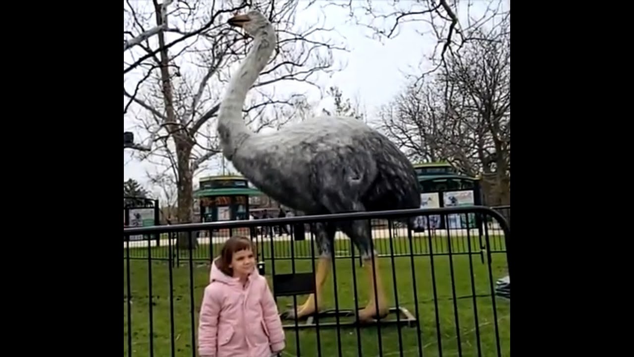 Ice Age Giants at Brookfield Zoo