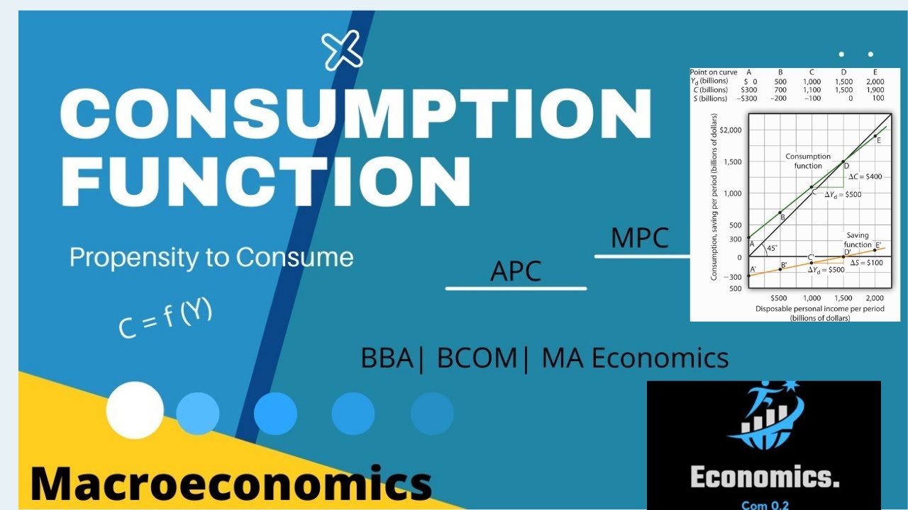 Detailed Breakdown of the Consumption Function