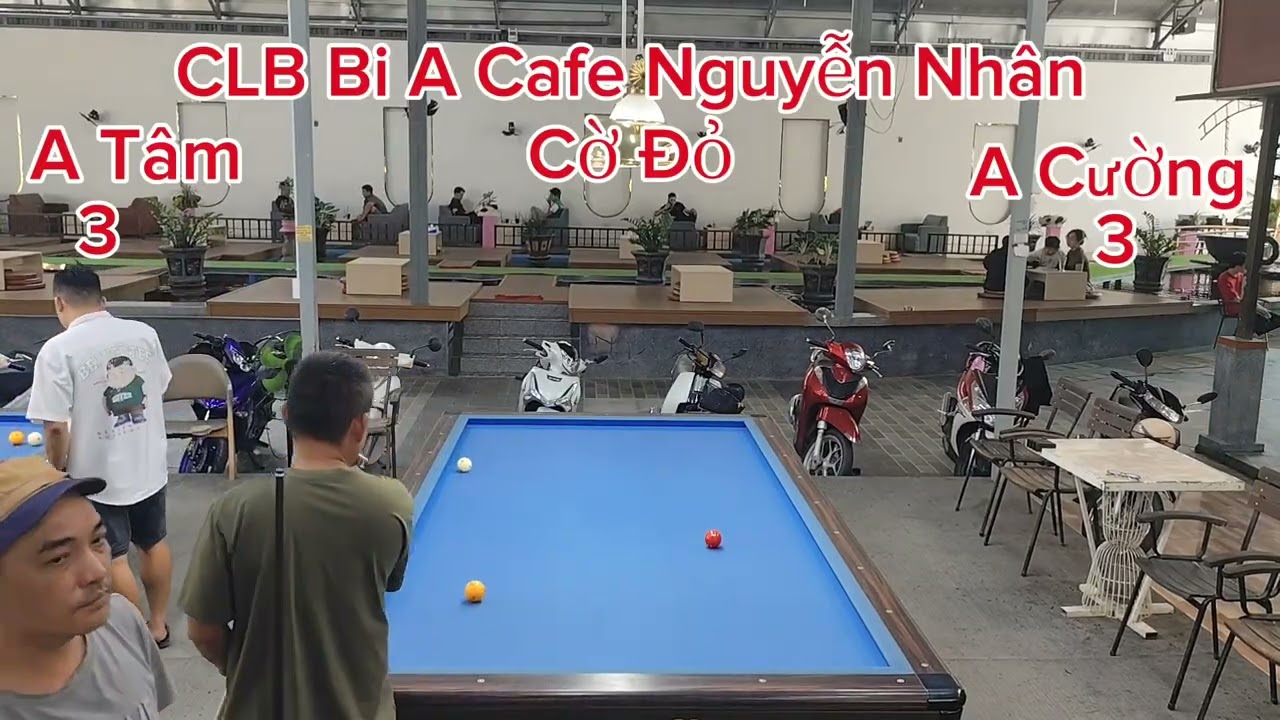 Tập 120 kèo đồng giữa A Cường 30đ và A Tâm 30đ.Tuấn vũ bi - a chúc ae xem kênh vui vẻ.