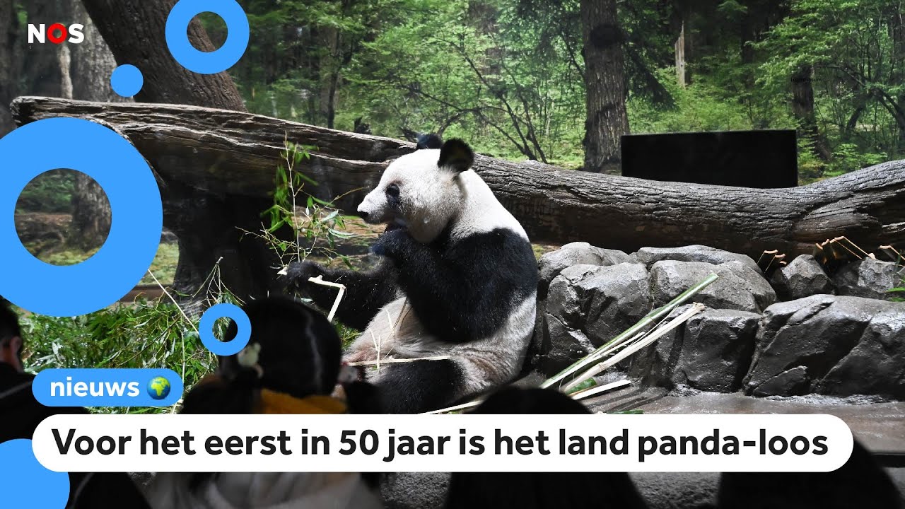 Japanners nemen emotioneel afscheid van panda's