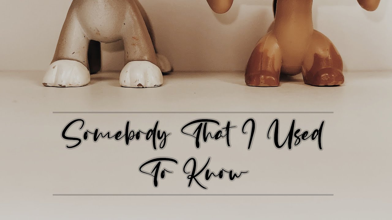 LPS MV: Somebody that I used to know