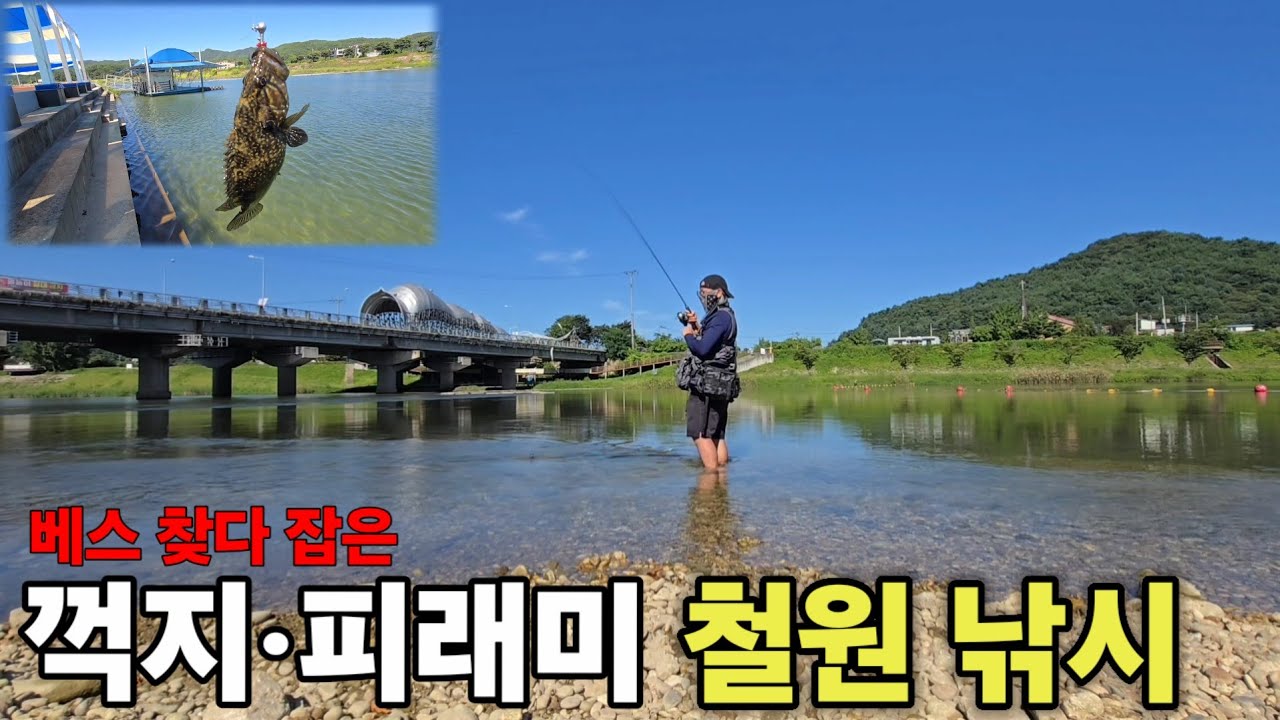 가평 계곡 피래미낚시 대박! 🐟 손맛 제대로 본 하루 // 초보도 OK! [낚시 수영 ep.9]