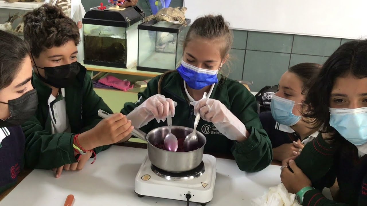 Ciencia para Todos #17 - Tinte de cochinilla