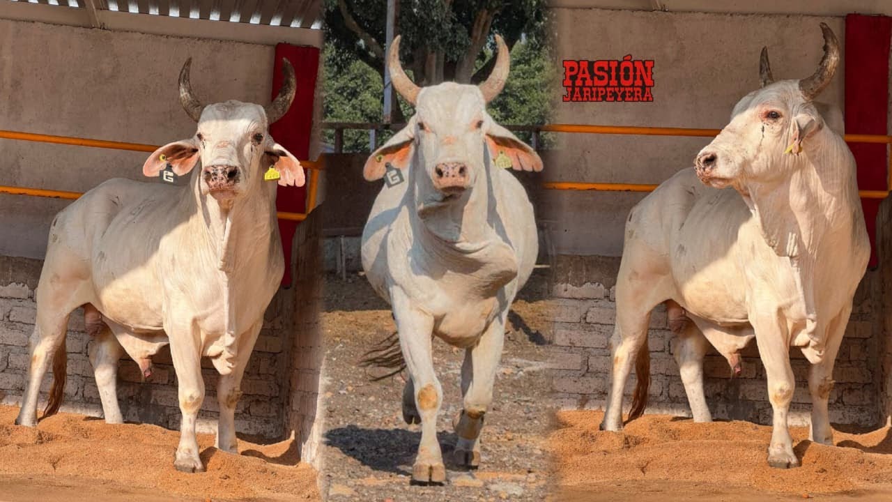 🔴 DRAGÓN BLANCO de Ganadería La Yurirense 🔴 El Espejo Guanajuato 25 diciembre 2025 Jaripeo en Vivo