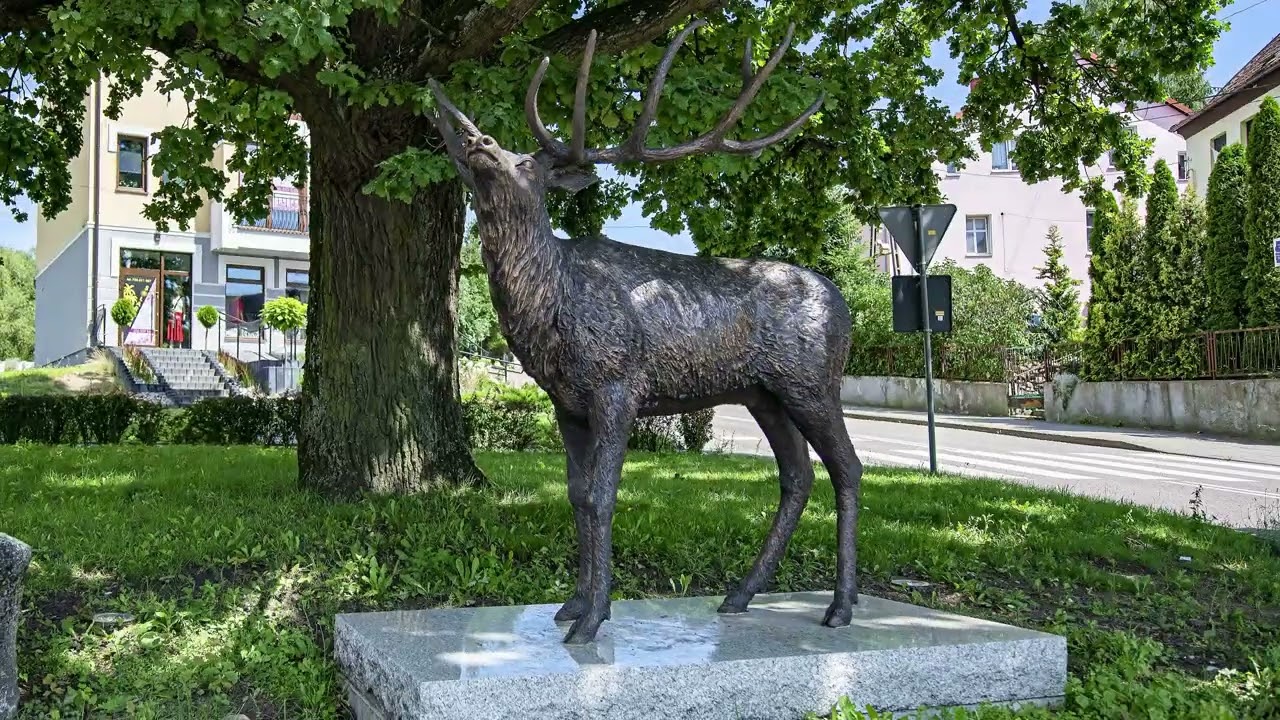 MIŁAKOWO - 16.08.2025