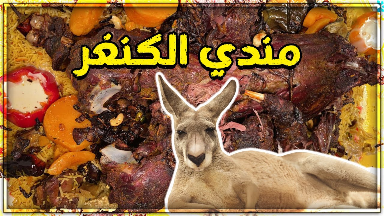 🦘 مندي الكنغر