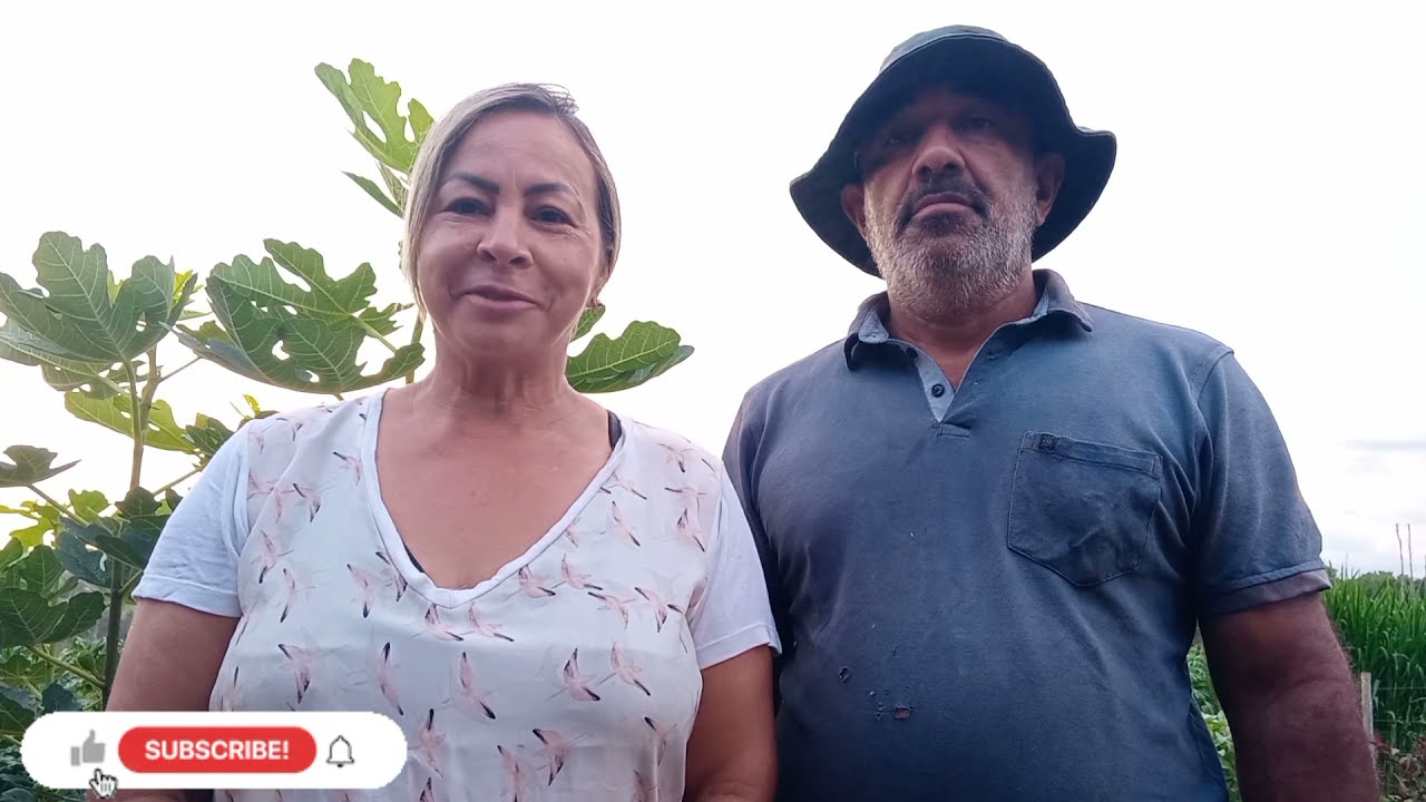 COMO COMBATER PULGÃO EM LAVOURA DE FEIJÃO? 😍