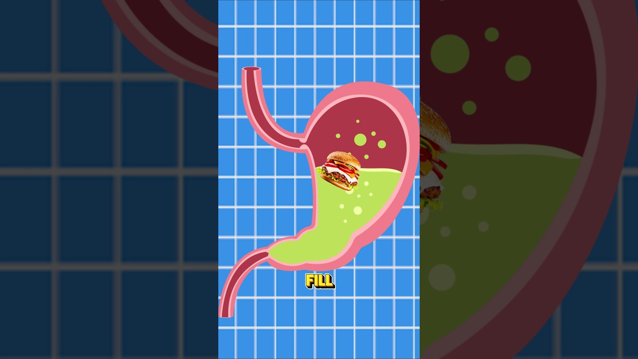 Why do expensive restaurants give small portions?