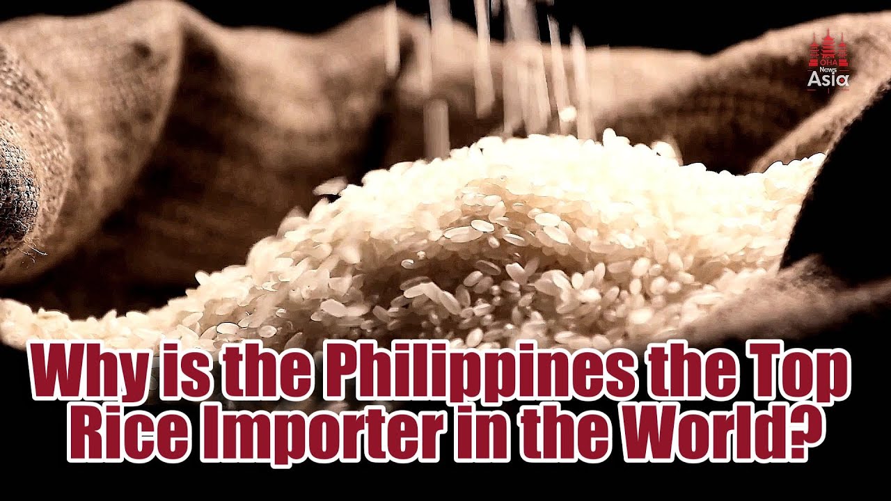 Why is the Philippines the Top Rice Importer in the World?