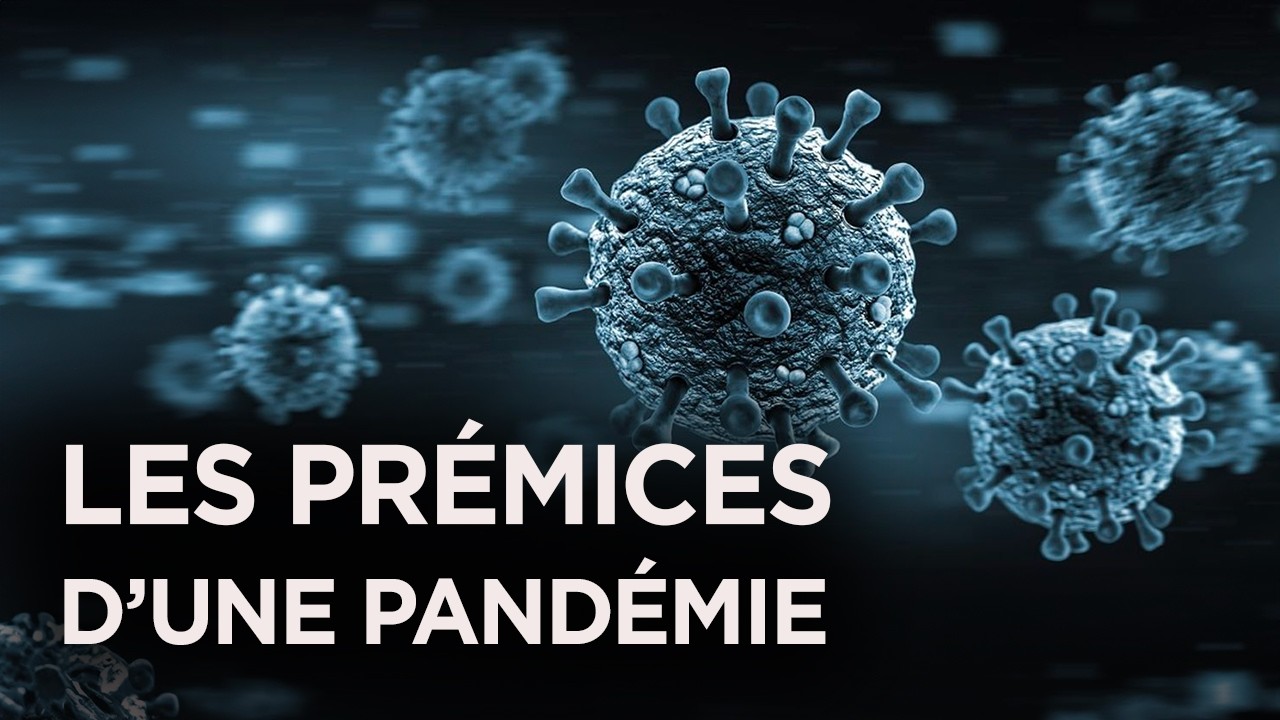 Virus Zika :  Le Point de d&eacute;part d'une pand&eacute;mie - Polyn&eacute;sie - OMS - Documentaire monde - GD