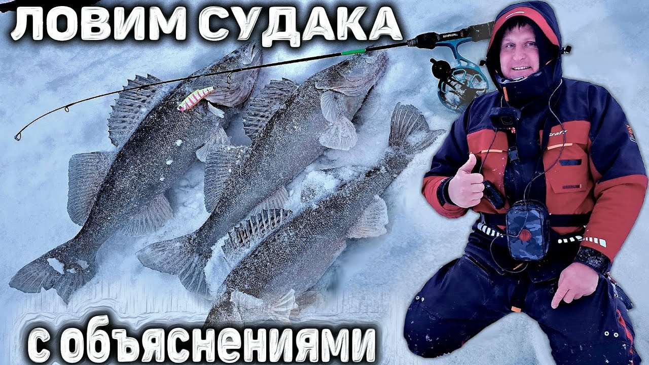 Ловим судака с объяснениями. Ловля судака на вибы.