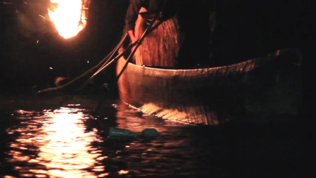 Ukai: Traditional Cormorant Fishing in Japan!