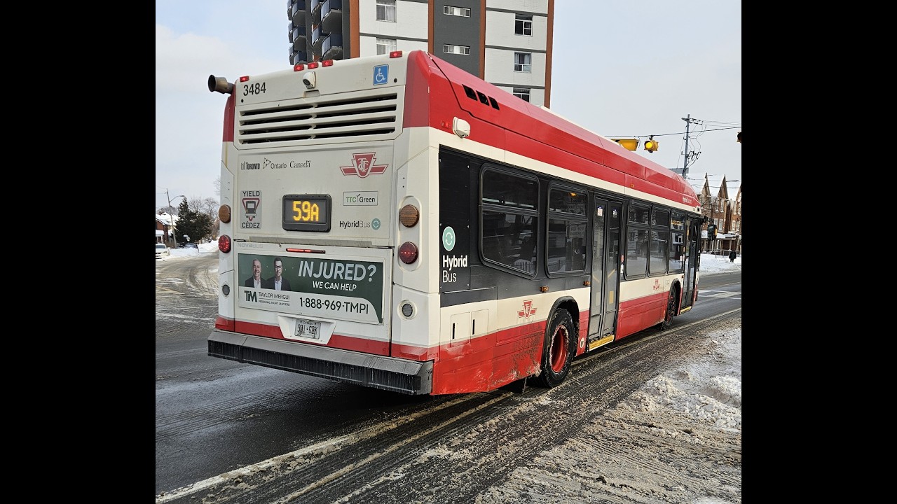 TTC 59A Maple Leaf Bus ride - From Dalbeattie Ave to Coulter Ave 1/27/2025 #3484