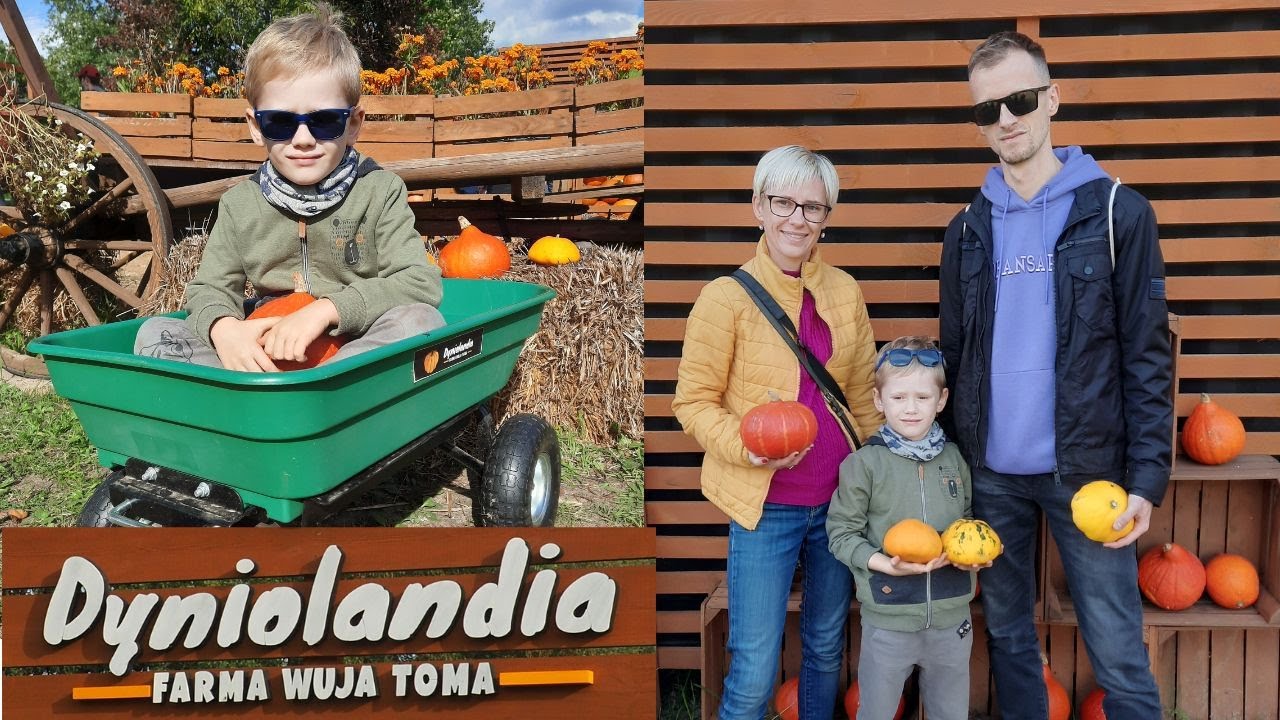 Dyniolandia w Warszawie - farma dyń, park rozrywki, mini zoo