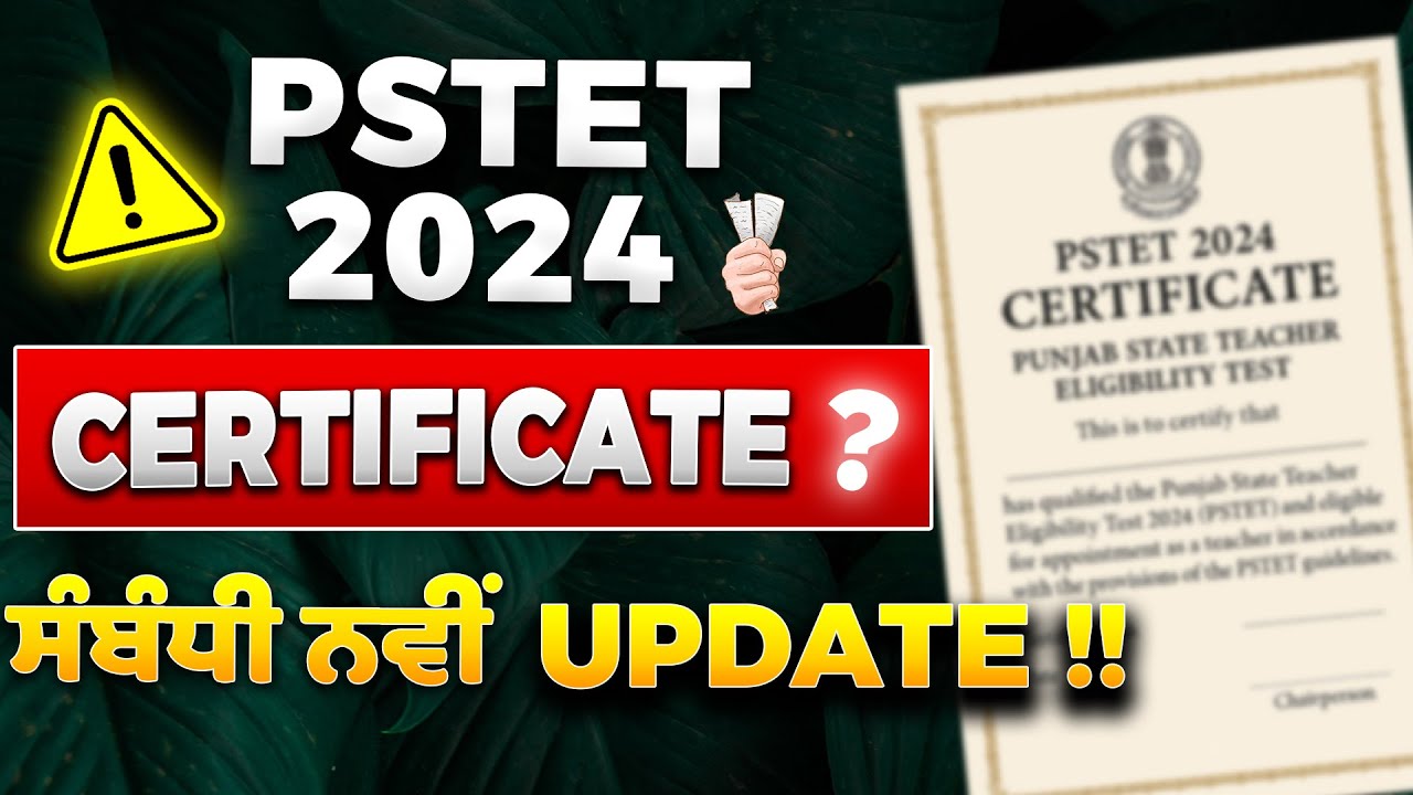 😳 PSTET 2024 Certificate &ndash; 📜ਨਵੀਂ Official Update | ਜਾਣੋ ਪੂਰੀ Detail!