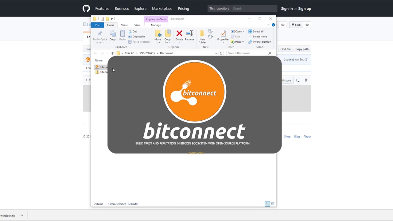 Bitconnect Wallet and Staking