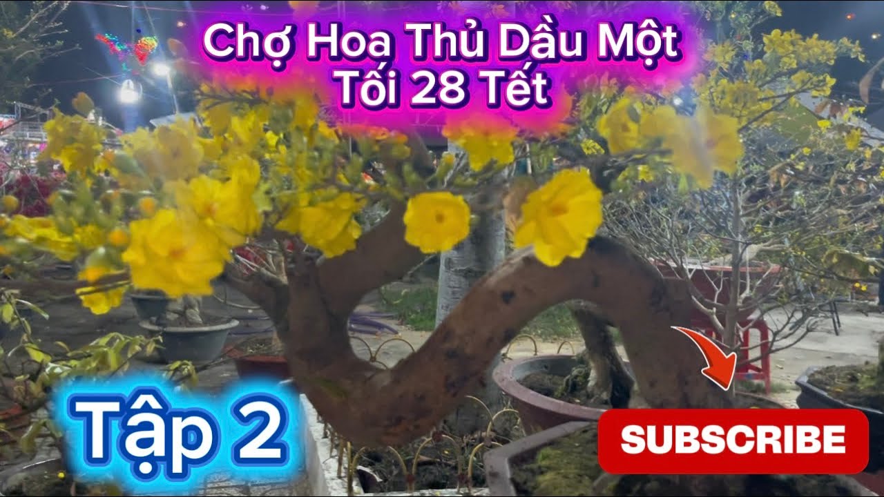 Let’s Go - Đi Chợ Hoa Thủ Dầu Một Tối 28 Tết Cùng #JuliaTran