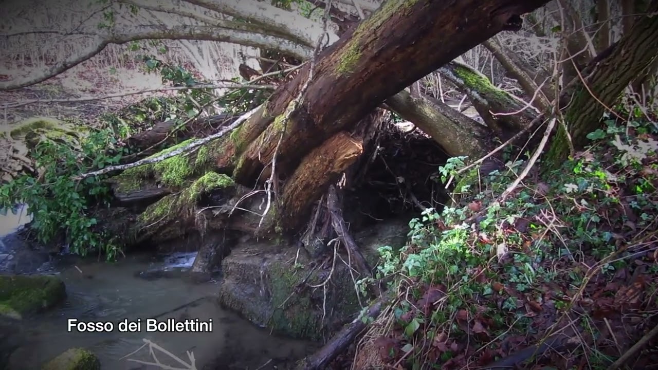 San Giustino, PG - Passeggiando tra Ca' del Borchio, Ca' Concello, Ca' Fiume e l'Abbadiaccia