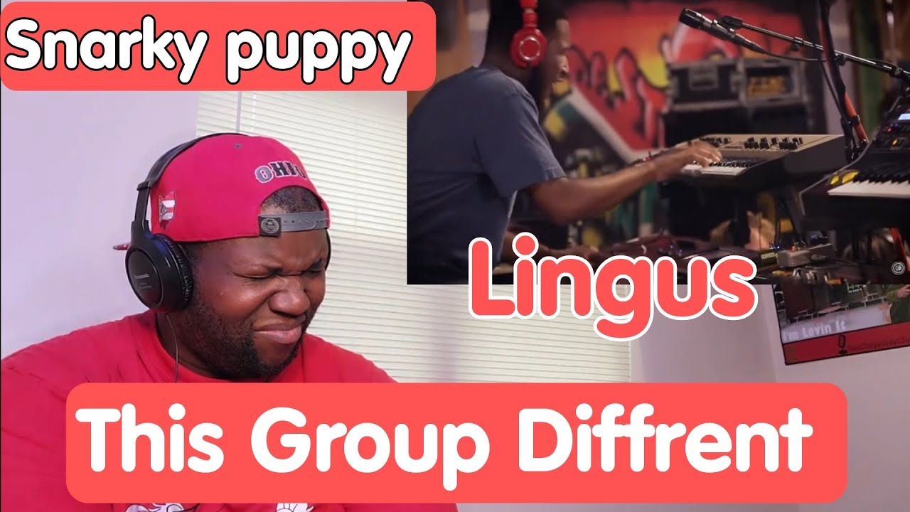 Snarky Puppy | Lingus (We Like It Here) Reaction