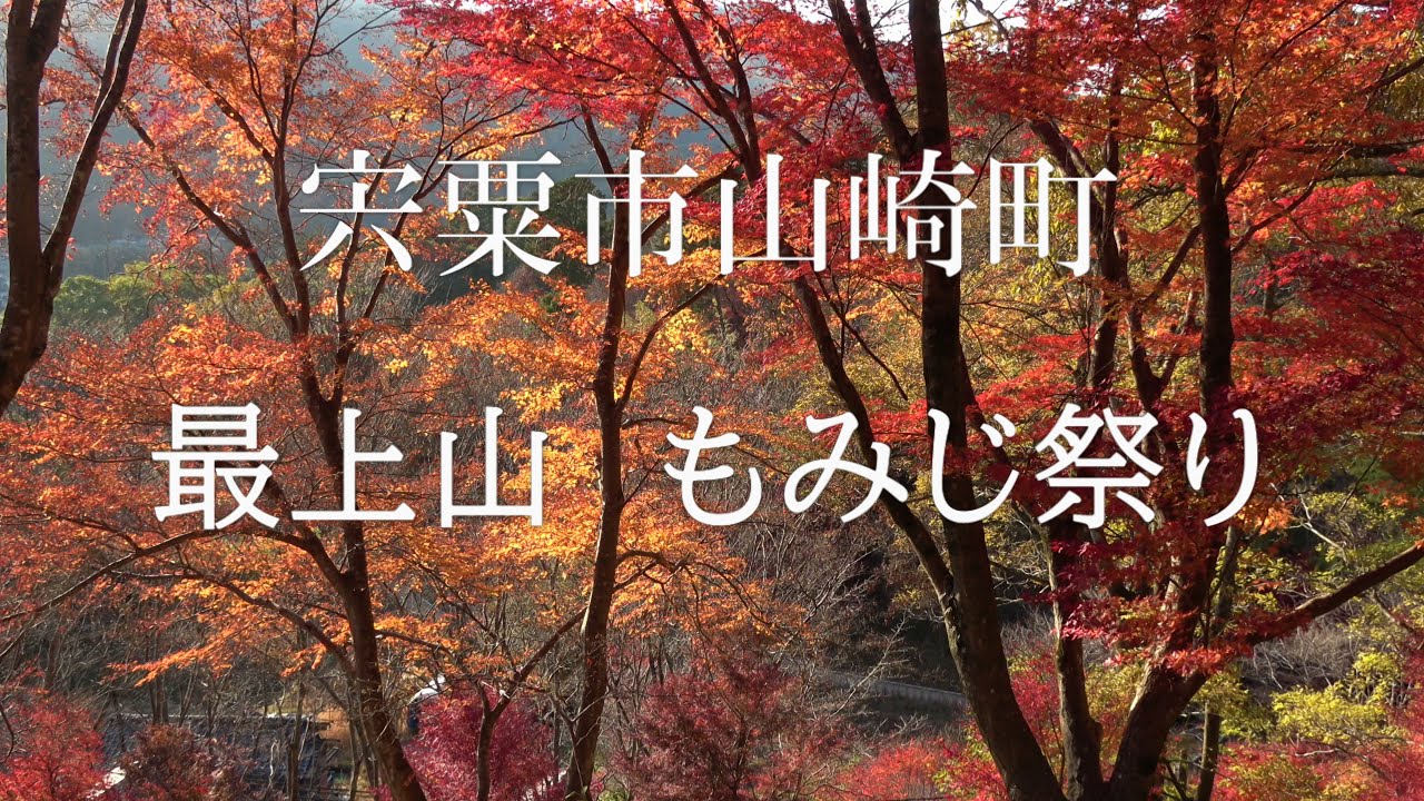 【宍粟最上山もみじ祭り】錦秋の絶景を堪能