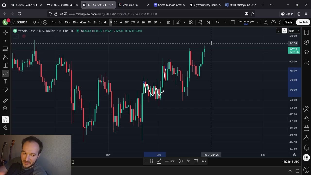 Bitcoin Cash BCH Price Prediction: BULL MARKET MENTALITY