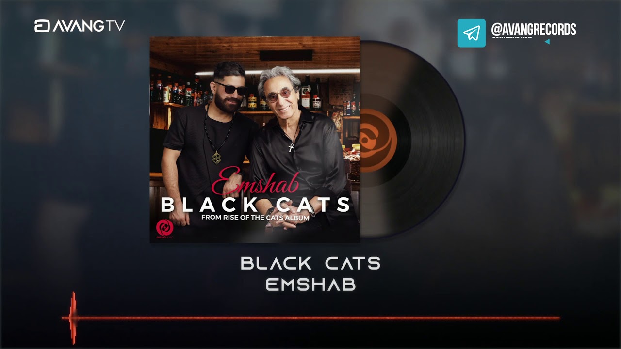 Black Cats - Emshab OFFICIAL TRACK | بلک کتس - امشب