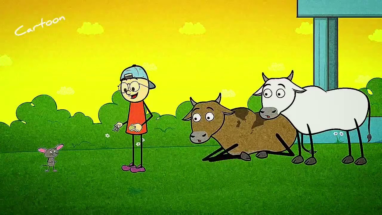 Cartoon video 