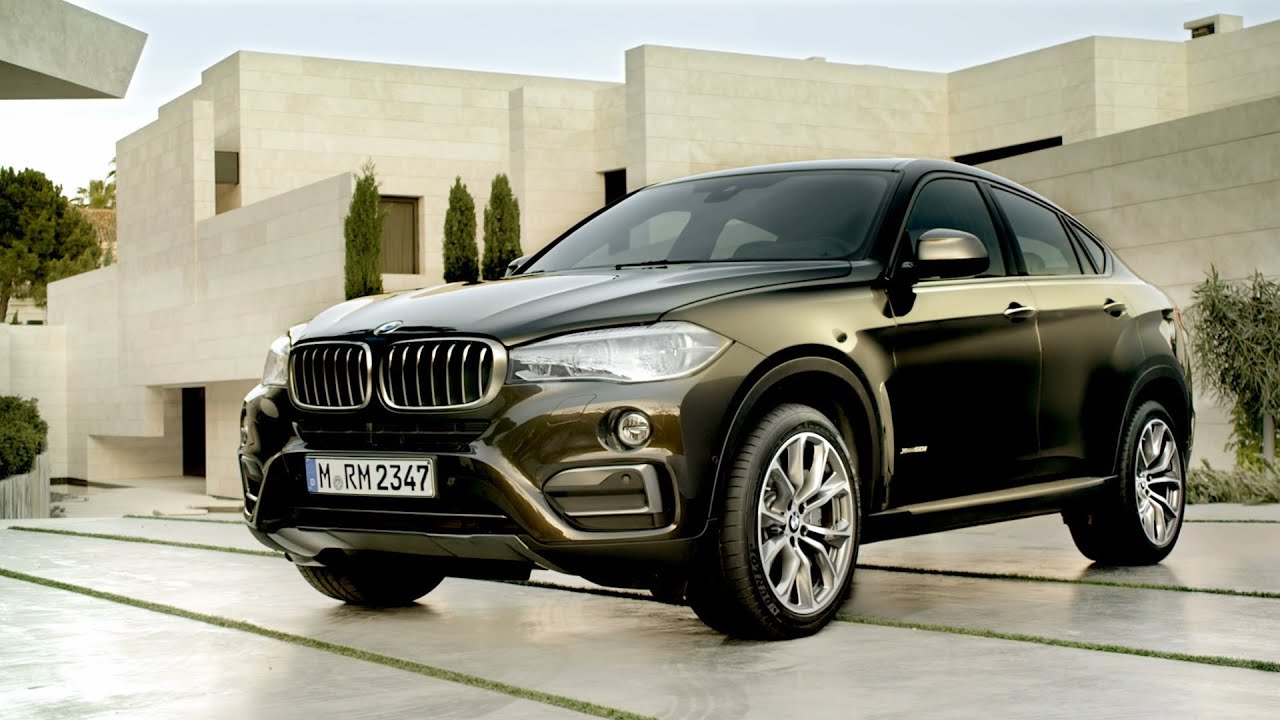 The BMW X6 (2014).