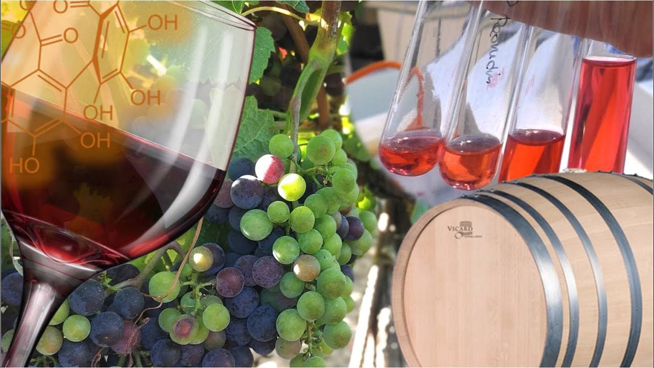 Témoignages de chimistes à l'Institut des Sciences de la Vigne et du Vin - Université de Bordeaux