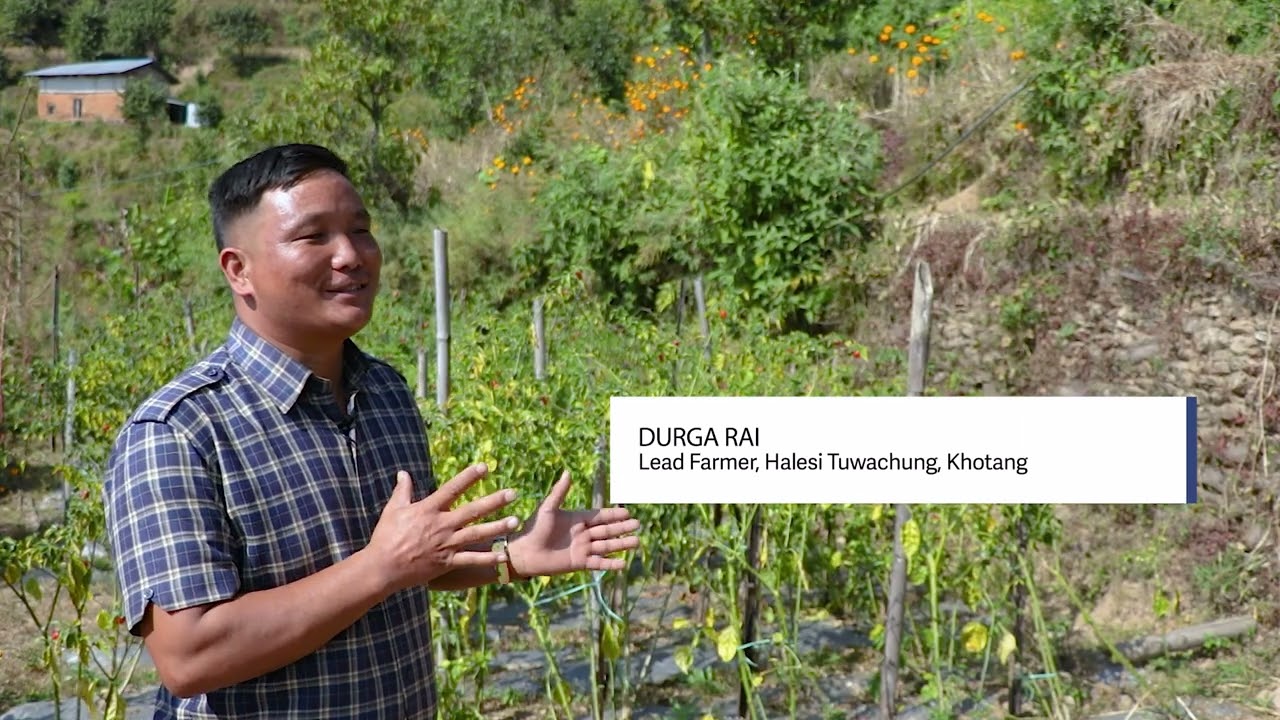 Advancing sustainable and resilient agriculture in Eastern Nepal's middle hills | IWMI