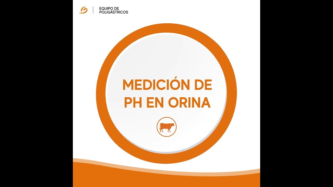 VIDEO PH EN ORINA - Battilana Nutrición