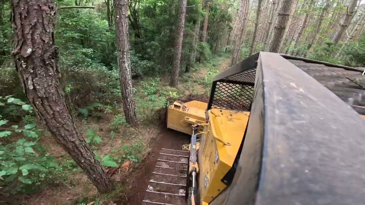 Trator de Esteira Caterpillar D4 Limpando Estrada no meio da Plantação de Pinheiros! 