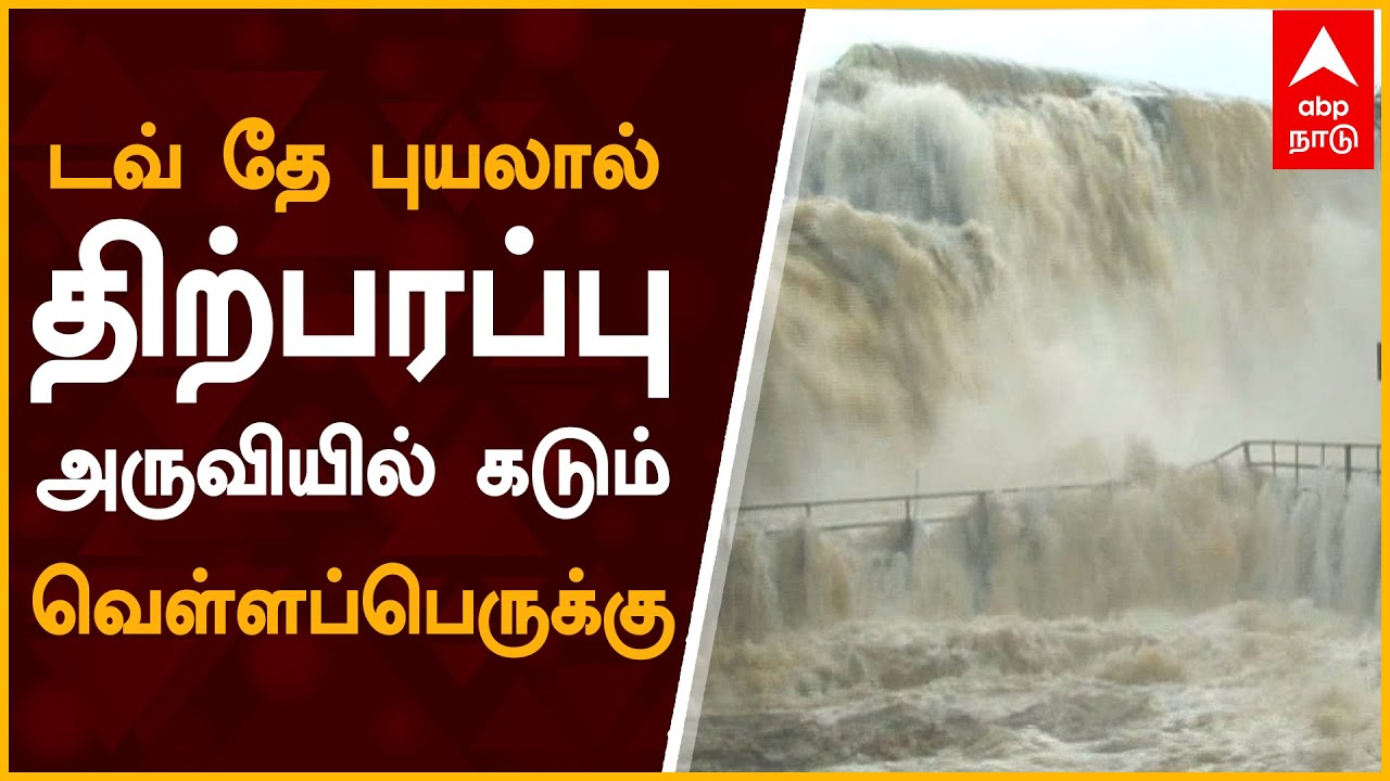 Cyclone Tauktae | திற்பரப்பு அருவியில் கடும் வெள்ளப்பெருக்கு | Tirparappu Waterfalls Flood | ABPNadu
