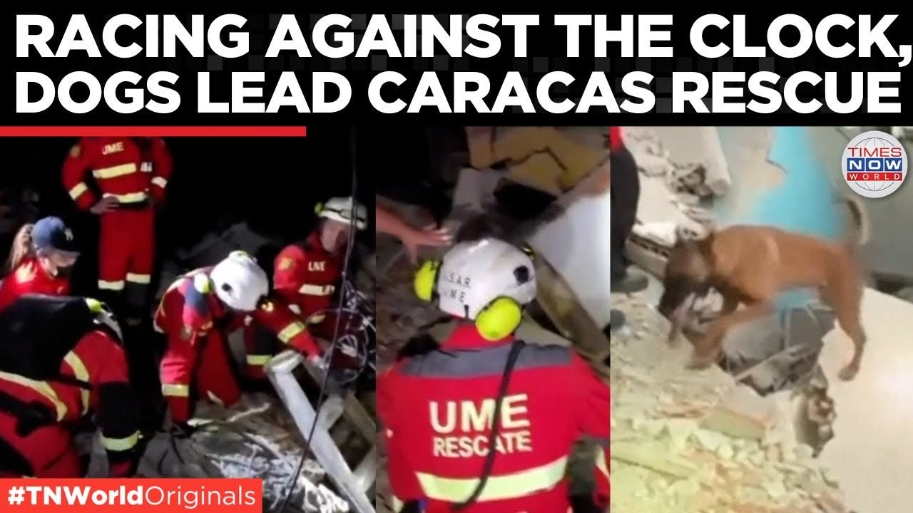 VENEZUELA: Rescue Dogs Hunt for Survivors in Caracas Quake | 920 Confirmed Dead