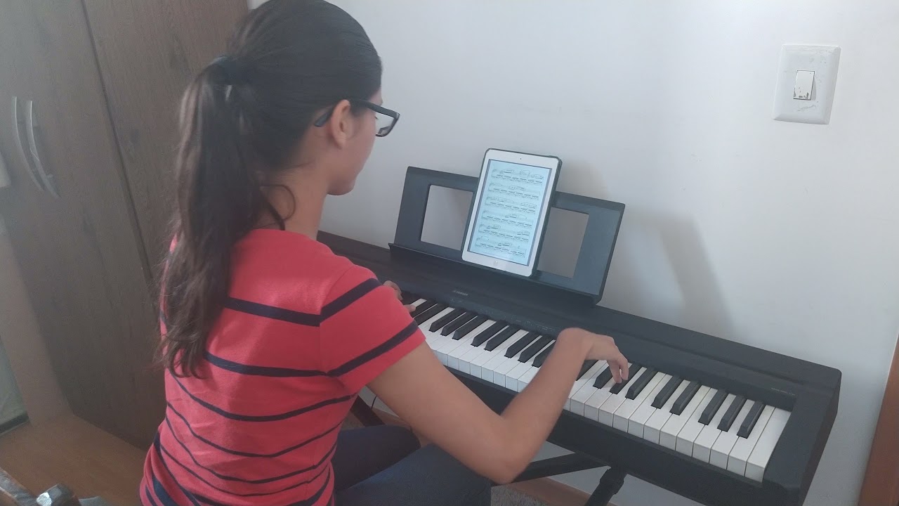 Swarm of Fish - Piano Passion