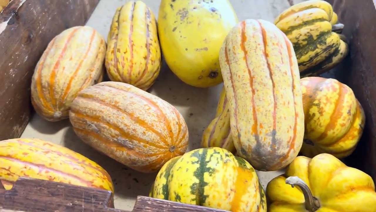 Come With Me | Aldi & Farmers Market Grocery Vlog #groceryhaul #farmersmarket 