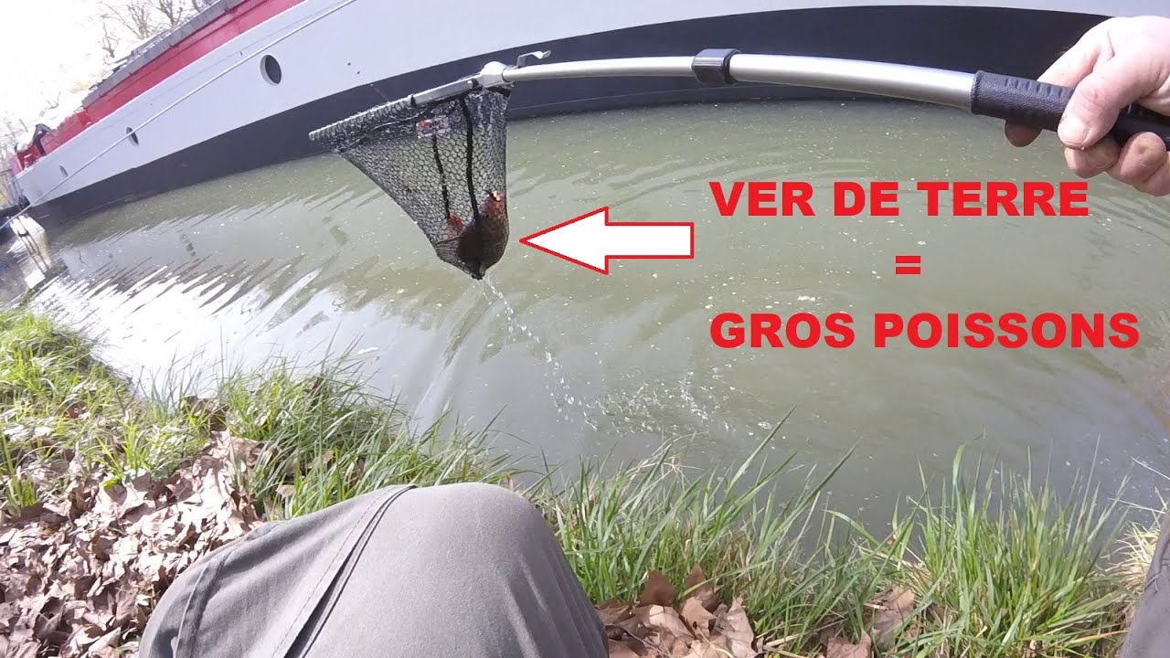 Pêche Aux Vers De Terre Pendant La Fermeture: Gros Poissons!!!!