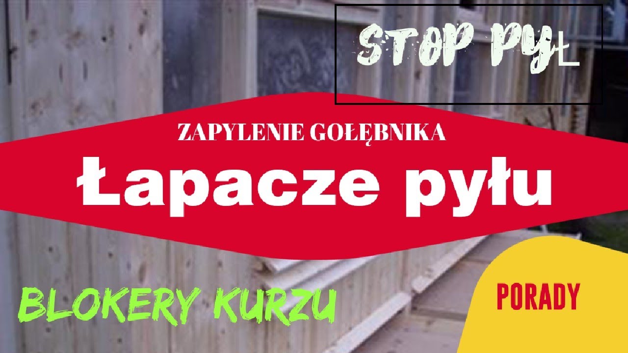 Gołębie Pocztowe- Łapacze pyłu(kurzu) wewnątrz gołębnika.