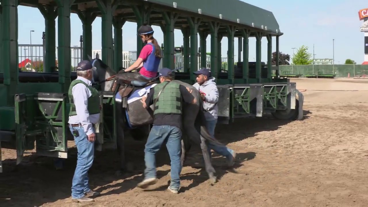 Beyond the Starting Gate