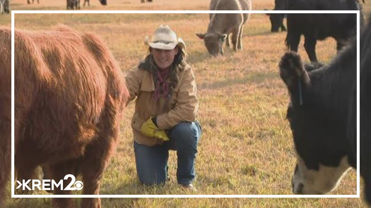 KREM 2 Investigation: Apex predators in Washington