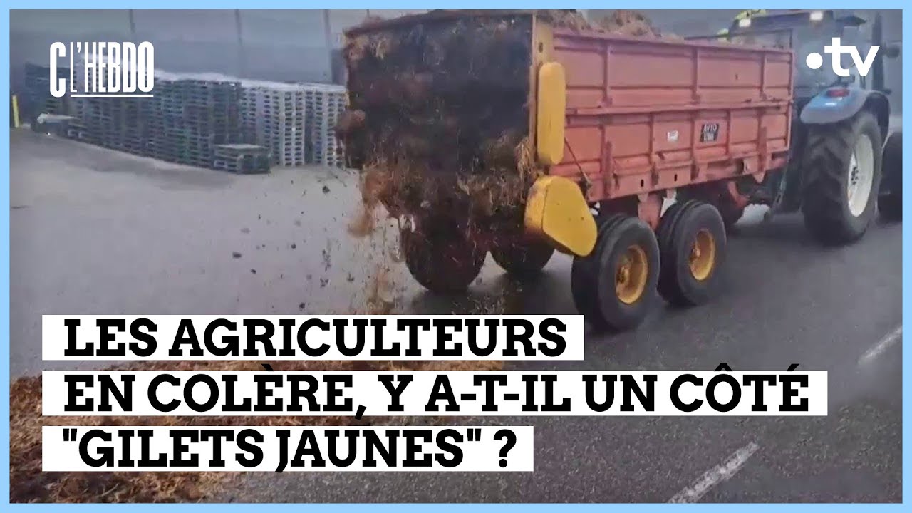 Les agriculteurs, est-ce qu'il y a un côté Gilets jaunes ? - Natacha Polony - C l’hebdo - 27/01/2024