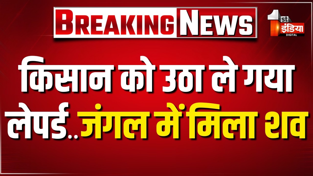 देर रात किसान को उठा ले गया लेपर्ड,जंगल में मिला किसान का शव   Udaipur Leopard Attack