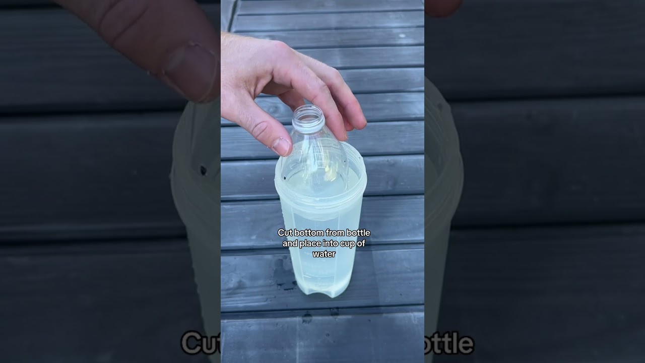 How to make a geeb